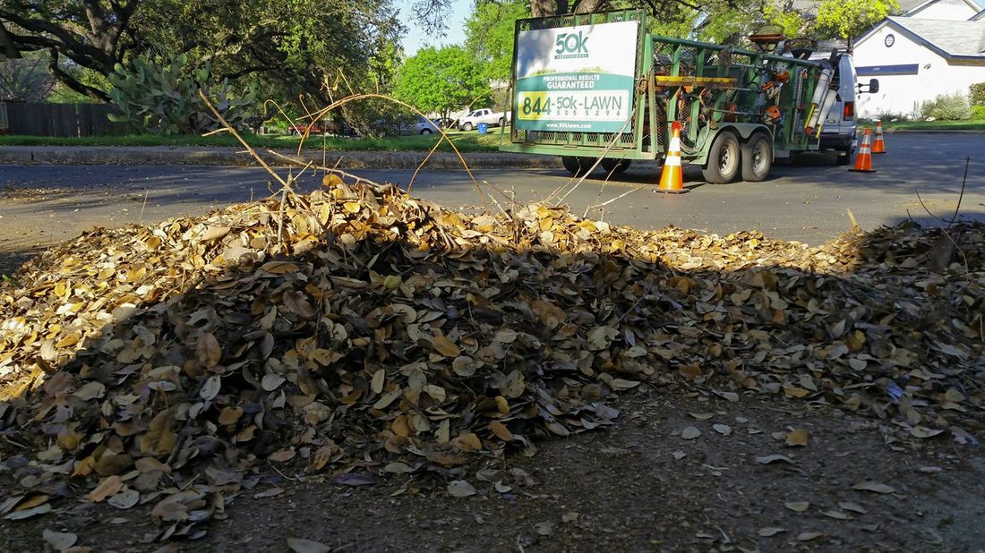 Leaf Cleanup Service in Austin Texas