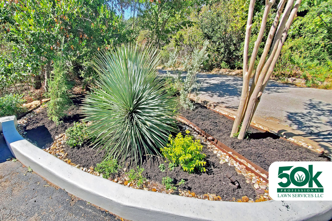 A garden in South Austin now vibrant with fresh brown mulch installation.