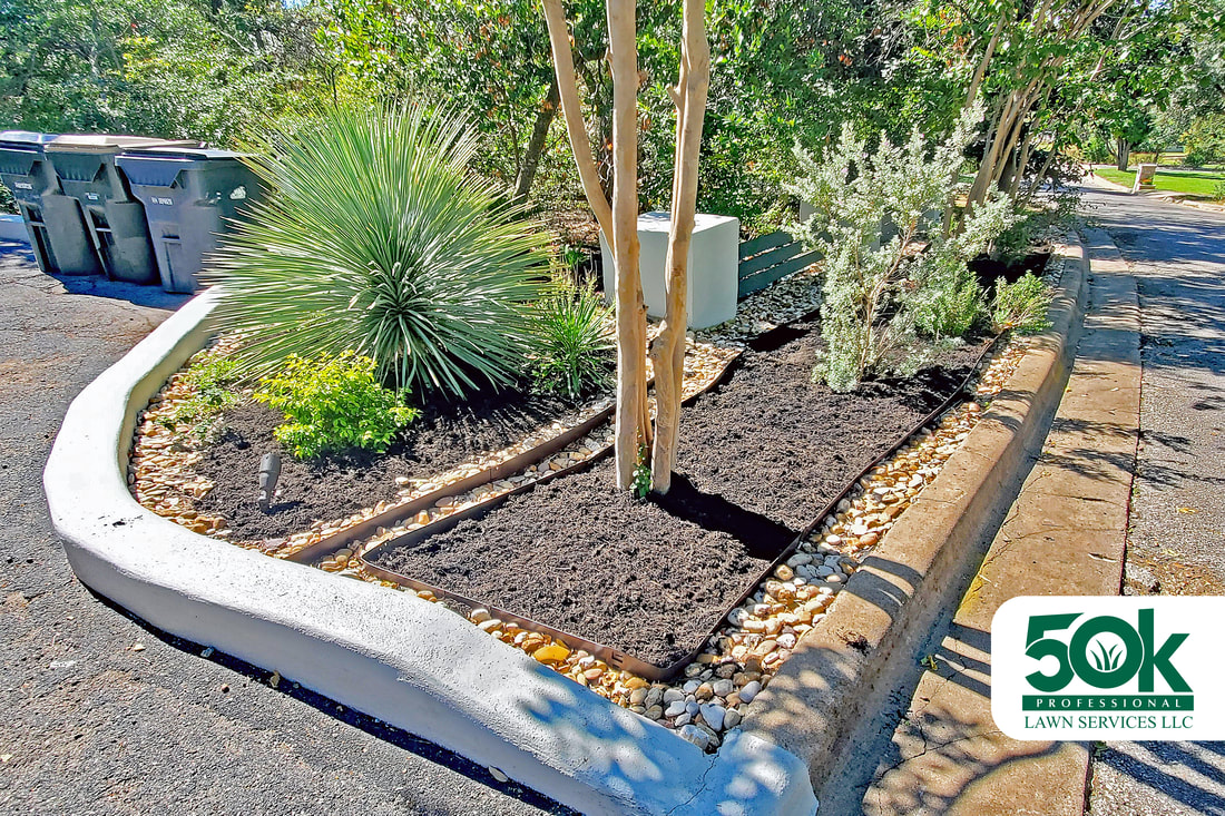 Fresh black mulch installation enhancing a garden's appeal in South Austin.