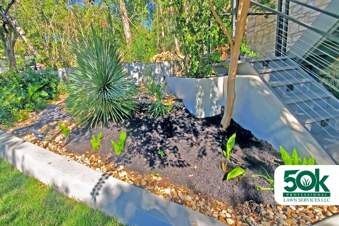 Organic black mulch beautifying a South Austin garden. 