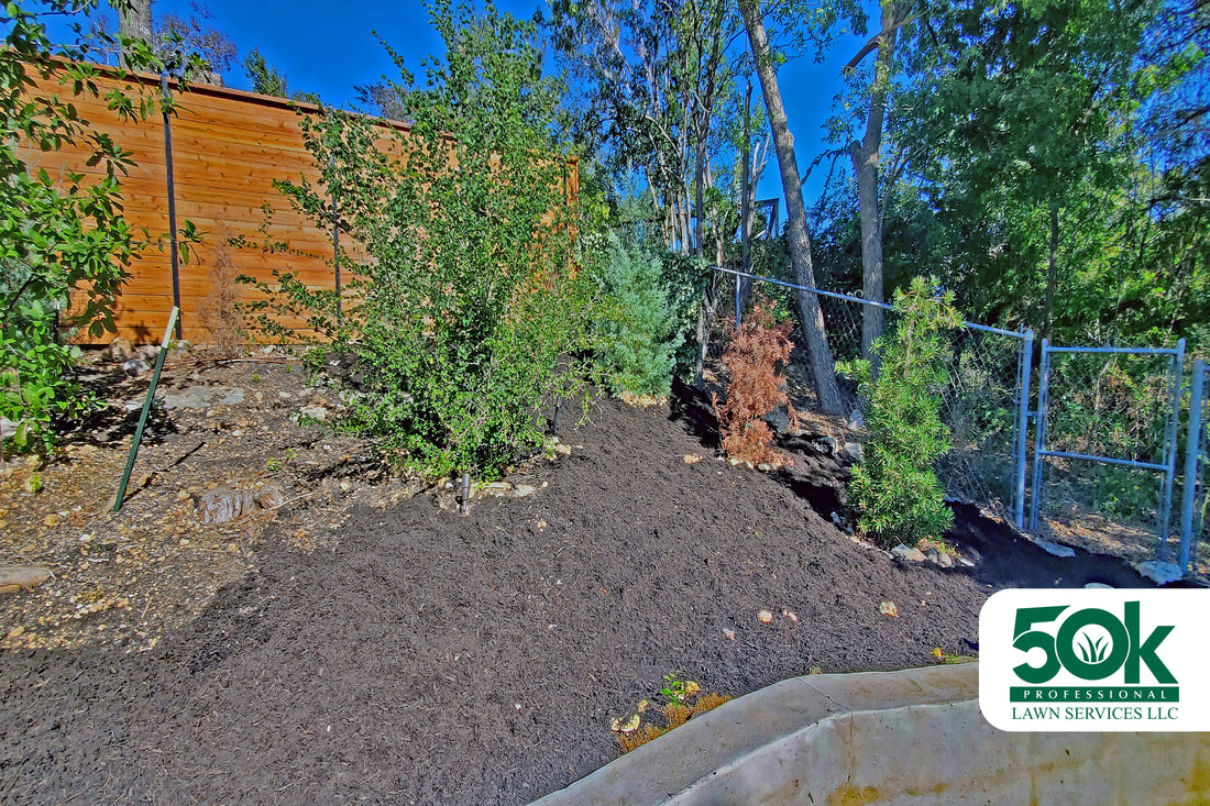 Expertly applied brown mulch in a South Austin garden for a fresh look.