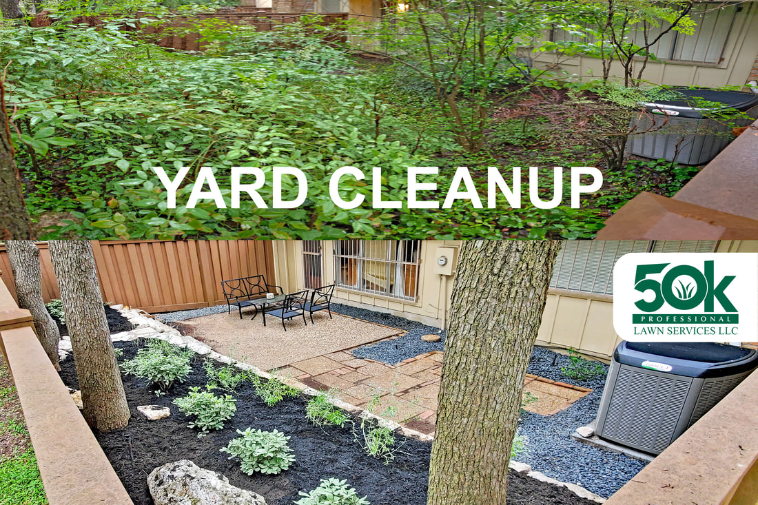 All-Inclusive Yard Cleanup
