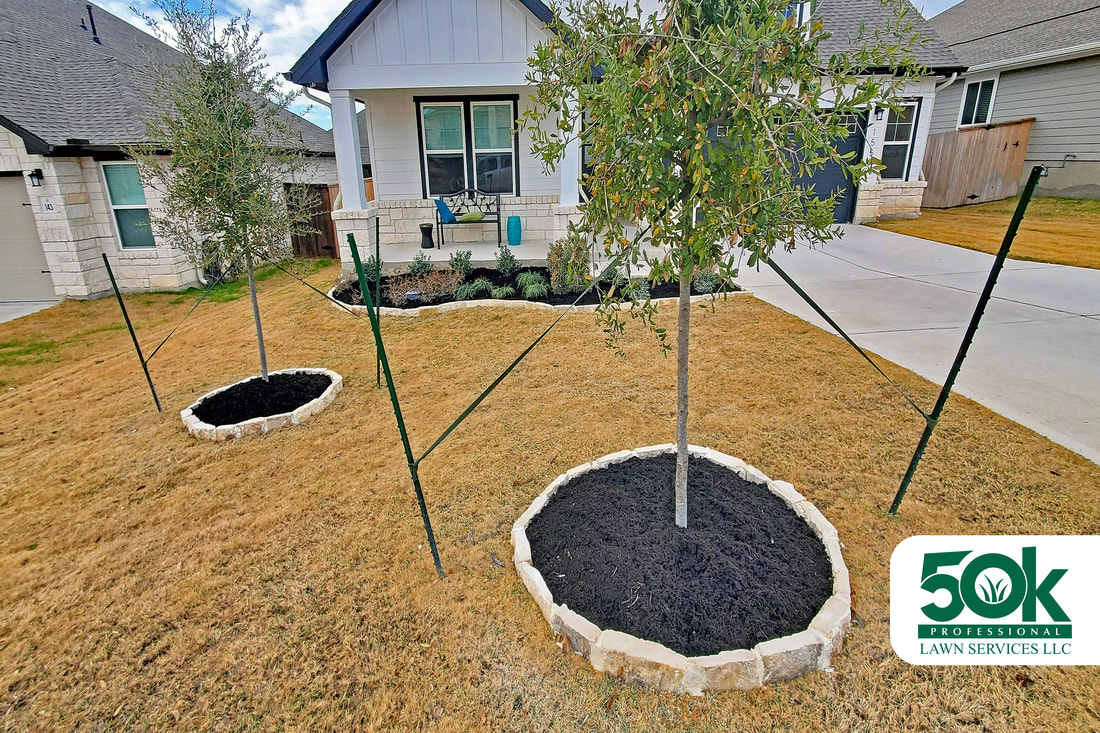 Landscape renewal in South Austin, with black mulch.