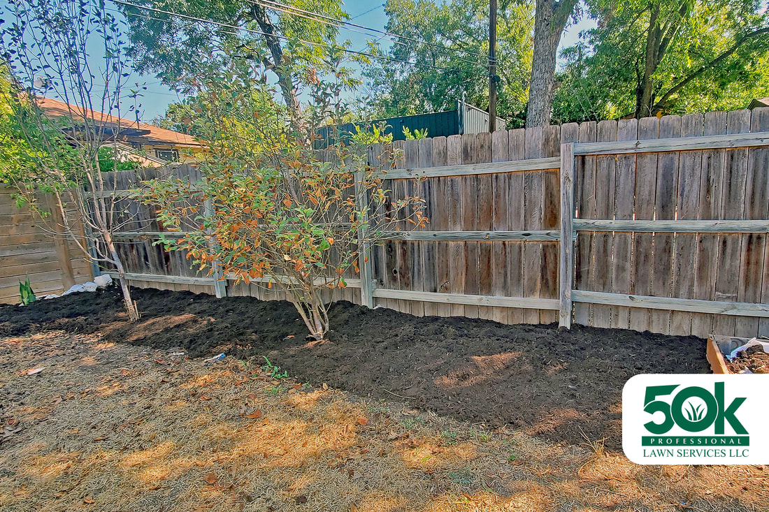 A vibrant backyard transformation in South Austin, featuring black mulch.