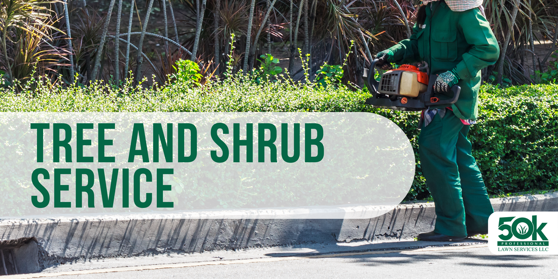 Tree and Shrub Trimming Service by 50k Professional Lawn Services LLC in Austin Texas
